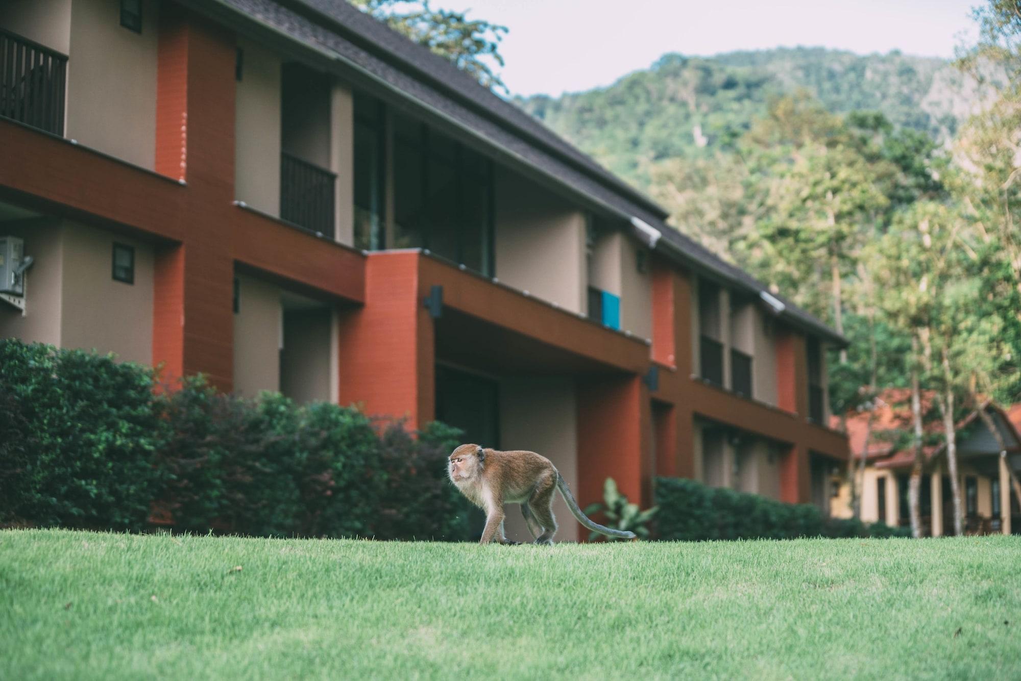 Tonsai Bay Resort Esterno foto